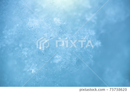 Macro background of fresh snowflake texture 73738620
