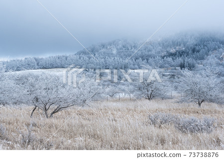 從霧谷八島沼澤地區看到的霧谷金星線 從霧谷八島沼澤地區看到的霧谷金星線 73738876
