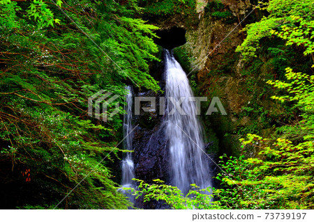 長澤瀑布，愛情，兒童寶祈禱的能量點，從心形岩洞流下的瀑布，高知縣四國喀斯特（2） 73739197
