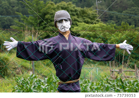 A figurine in the field looking over fence to camera. A figurine in the field looking over fence to camera. 73739353