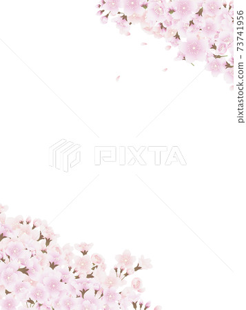 吉野櫻花樹 吉野櫻花樹 73741956
