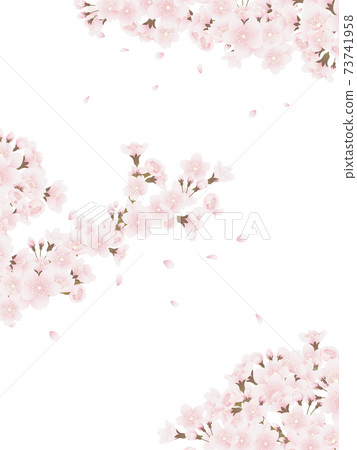 吉野櫻花樹 吉野櫻花樹 73741958