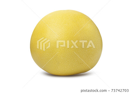 Pomelo citrus fruit isolated on white background Pomelo citrus fruit isolated on white background 73742703