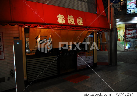 Osaka, night streets, shops, lights 73743284