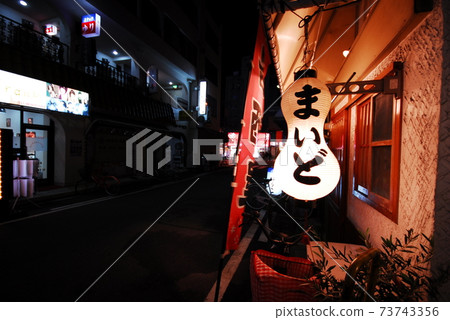 Osaka, night streets, shops, lights 73743356