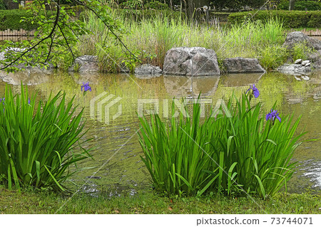 Nakamura Park / Scenery Nakamura Park / Scenery 73744071