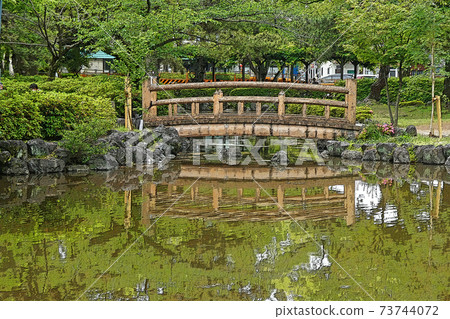 Nakamura Park / Scenery Nakamura Park / Scenery 73744072