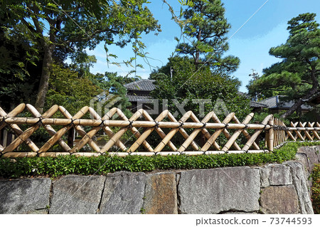 Nakamura Park / Scenery Nakamura Park / Scenery 73744593