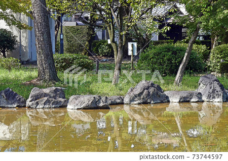 Nakamura Park / Scenery Nakamura Park / Scenery 73744597