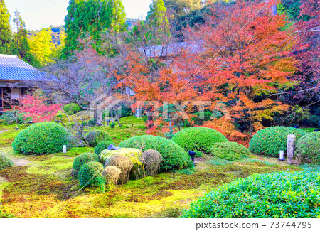 京都天后寺雲龍院花園 京都天后寺雲龍院花園 73744795