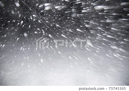 Snowstorm - Stock Photo [73745305] - PIXTA