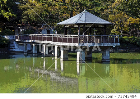 Tsurumai Park scenery 73745494