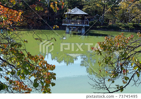 Tsurumai Park scenery Tsurumai Park scenery 73745495