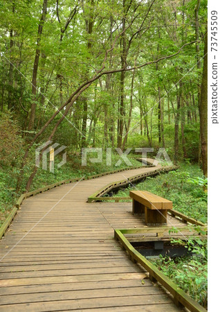 秋天的小宮公園看起來像這樣 秋天的小宮公園看起來像這樣 73745509