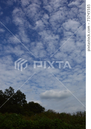 Komiya Park in autumn looks like this Komiya Park in autumn looks like this 73745585
