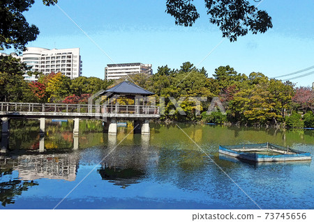 鶴舞公園的風景 鶴舞公園的風景 73745656