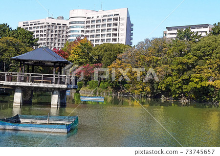 鶴舞公園的風景 鶴舞公園的風景 73745657