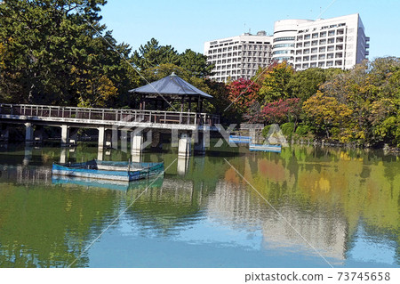 鶴舞公園的風景 鶴舞公園的風景 73745658