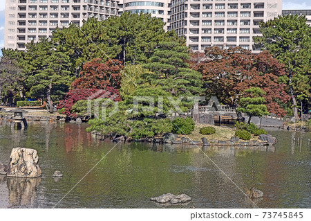 鶴舞公園的風景 鶴舞公園的風景 73745845