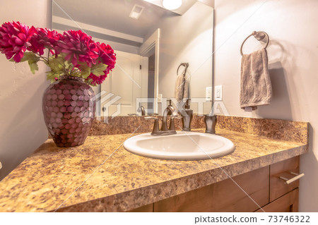 Bathroom interior of a home with close up view of the stylish vanity area 73746322