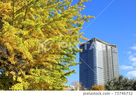 東京日比谷公園的秋天銀杏 73746732
