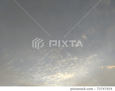 藍天 73747954