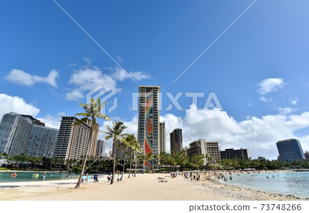 夏威夷的假期 夏威夷的假期 73748266