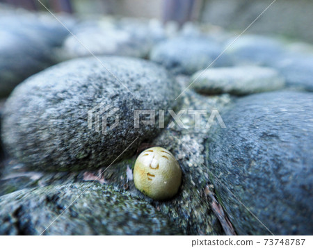 The streets of Gujo Hachiman 73748787