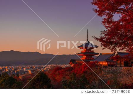 Kiyomizu-dera Temple and autumn leaves at dusk in Kyoto 73749068