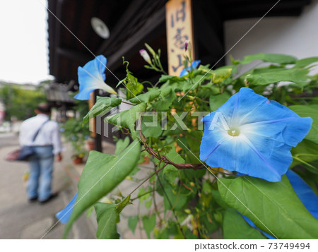 Hida Takayama Old Townscape Mimachi Traditional Buildings Preservation Area Hida Takayama Old Townscape Mimachi Traditional Buildings Preservation Area 73749494