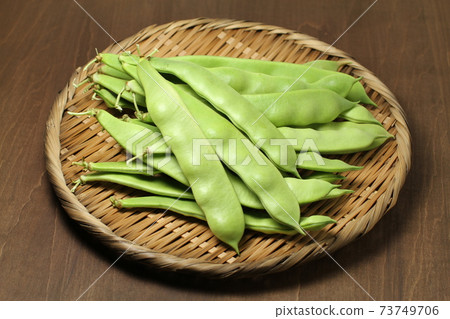 Freshly picked green beans in a colander, Morocco ingen, summer vegetables 73749706