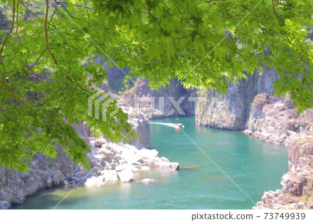 Landscape photo of blue maple and emerald green river Landscape photo of blue maple and emerald green river 73749939
