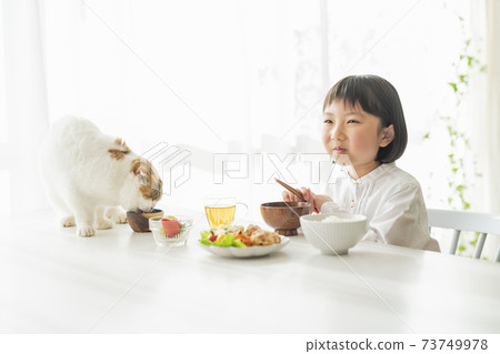 女孩和貓吃早餐 女孩和貓吃早餐 73749978