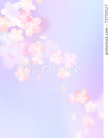 Background of cherry blossom petals fluttering in the wind-there are multiple variations Background of cherry blossom petals fluttering in the wind-there are multiple variations 73750527