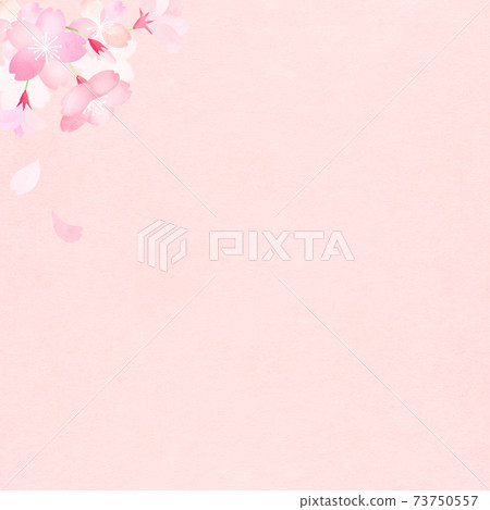 Cherry blossom background-there are multiple variations Cherry blossom background-there are multiple variations 73750557
