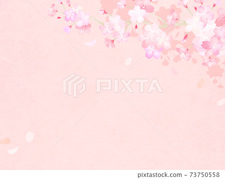 Cherry blossom background-there are multiple variations Cherry blossom background-there are multiple variations 73750558