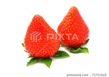 草莓(Yumenooka) 草莓(Yumenooka) 73752028