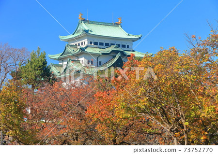 [Aichi] Autumn leaves and Nagoya castle tower 73752770