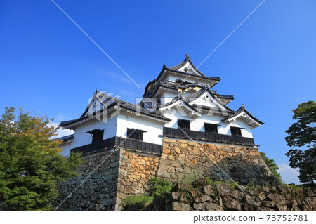 [滋賀縣]彥根城樓及附屬塔 73752781