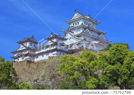 [Hyogo Prefecture] Himeji Castle under fine weather 73752799