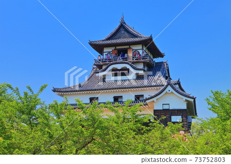 [愛知縣]新鮮的綠色犬山城城堡塔樓 73752803