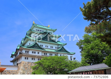 [愛知縣]名古屋城本館 73752806