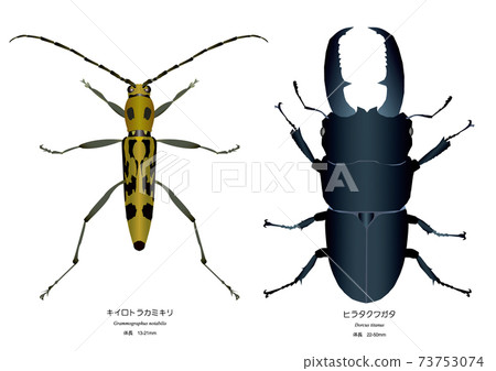 長角甲蟲和多庫斯泰坦 73753074