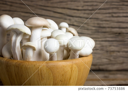 Shimeji mushroom or White beech mushroom on rustic wooden background. 73753886