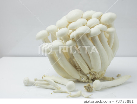 Shimeji mushroom or White beech mushroom isolated on white background. 73753891