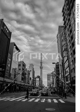 單色淺草和天空樹 73754043