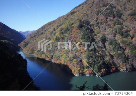 岐阜自然 73754364