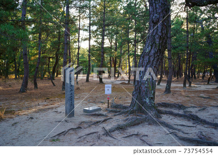 Swan Matsubara Oyama (Higashikagawa City, Kagawa Prefecture) 73754554