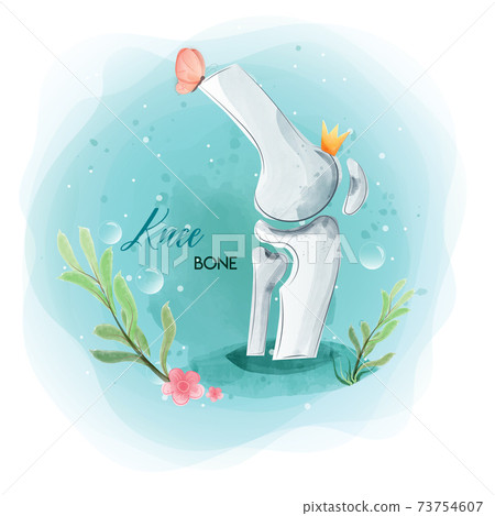 Medical orthopedic watercolor background. Treatment for orthopedics traumatology of knee bones and joints injury. Medical presentation, hospital. Vector illustration Medical orthopedic watercolor background. Treatment for orthopedics traumatology of knee bones and joints injury. Medical presentation, hospital. Vector illustration 73754607