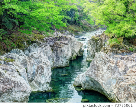 Okuba horse monkey monkey Tobi Chienkyo Gorge 73755061